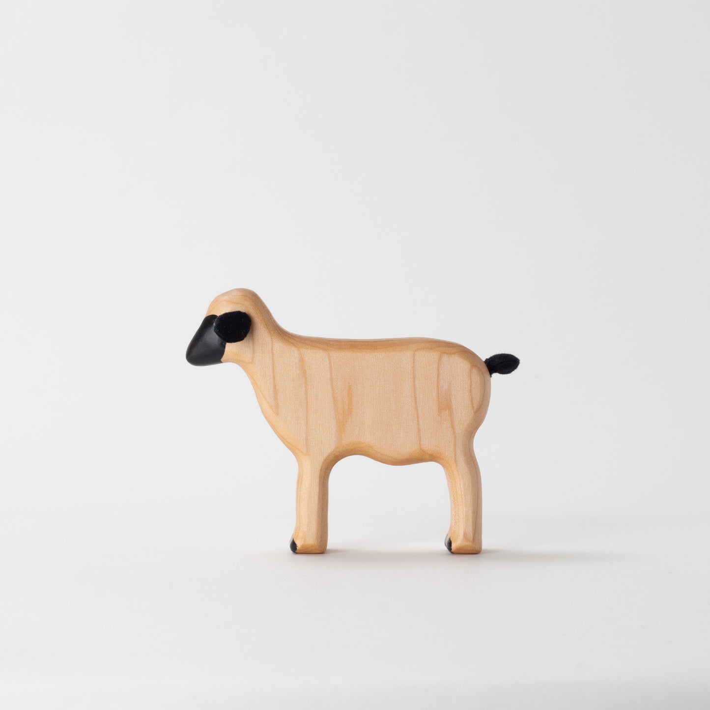 Valais Blacknose Lamb