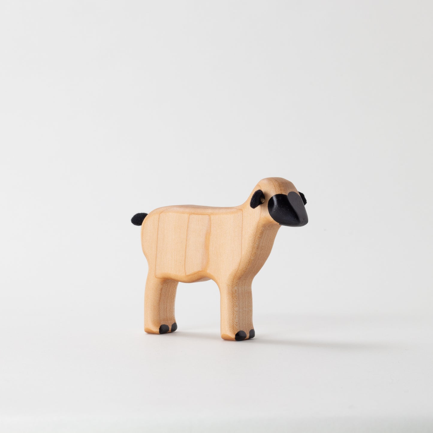 Valais Blacknose Lamb