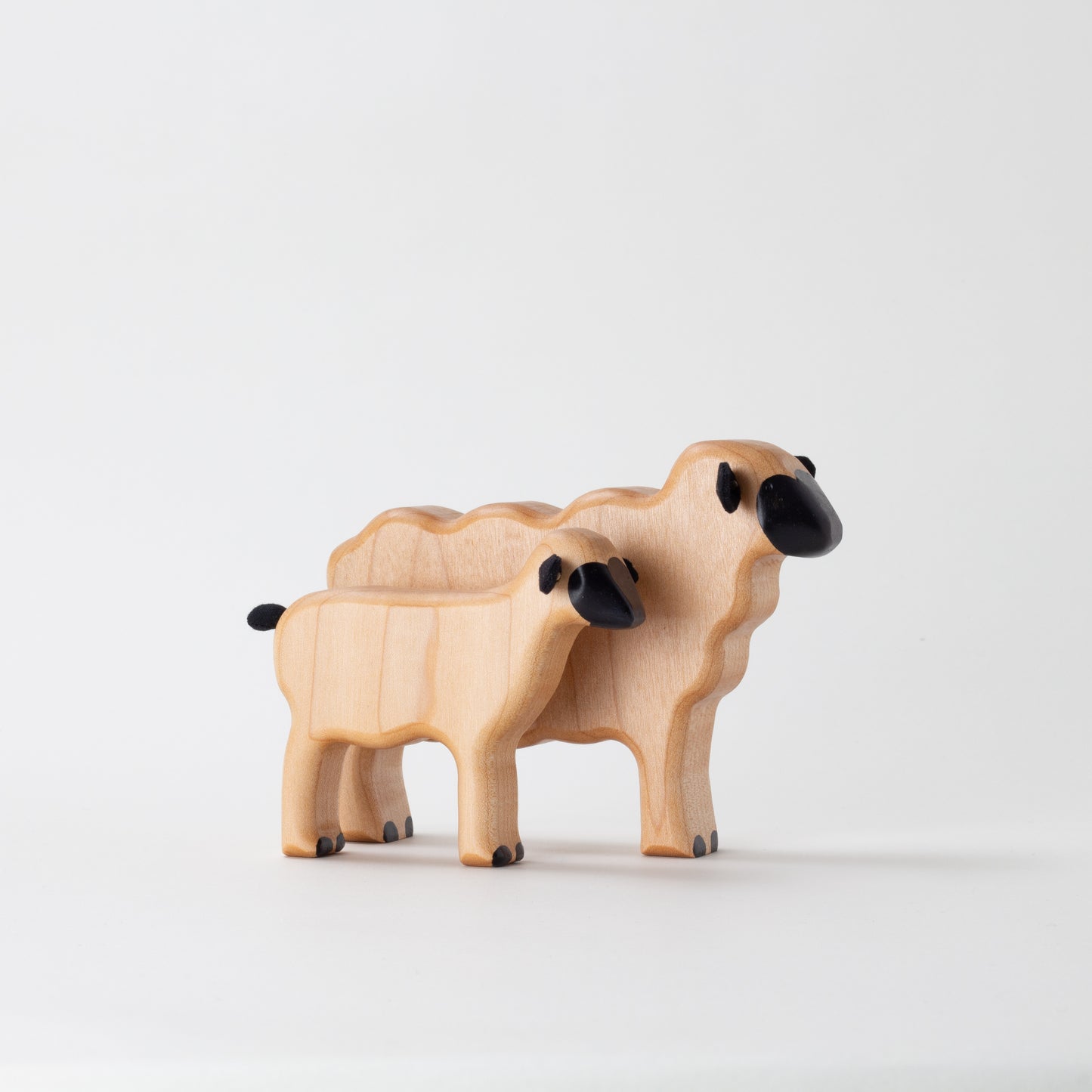 Wilbur Collection