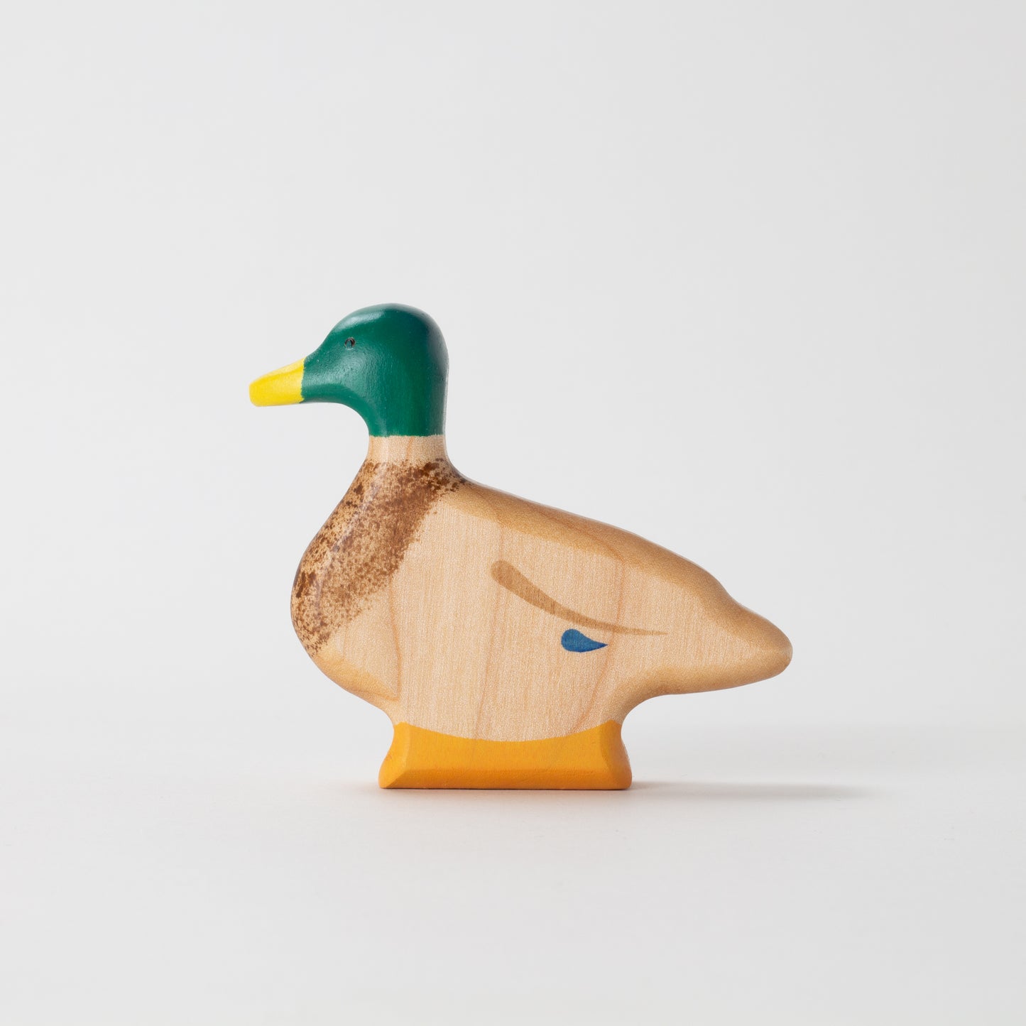Mallard Duck - Drake