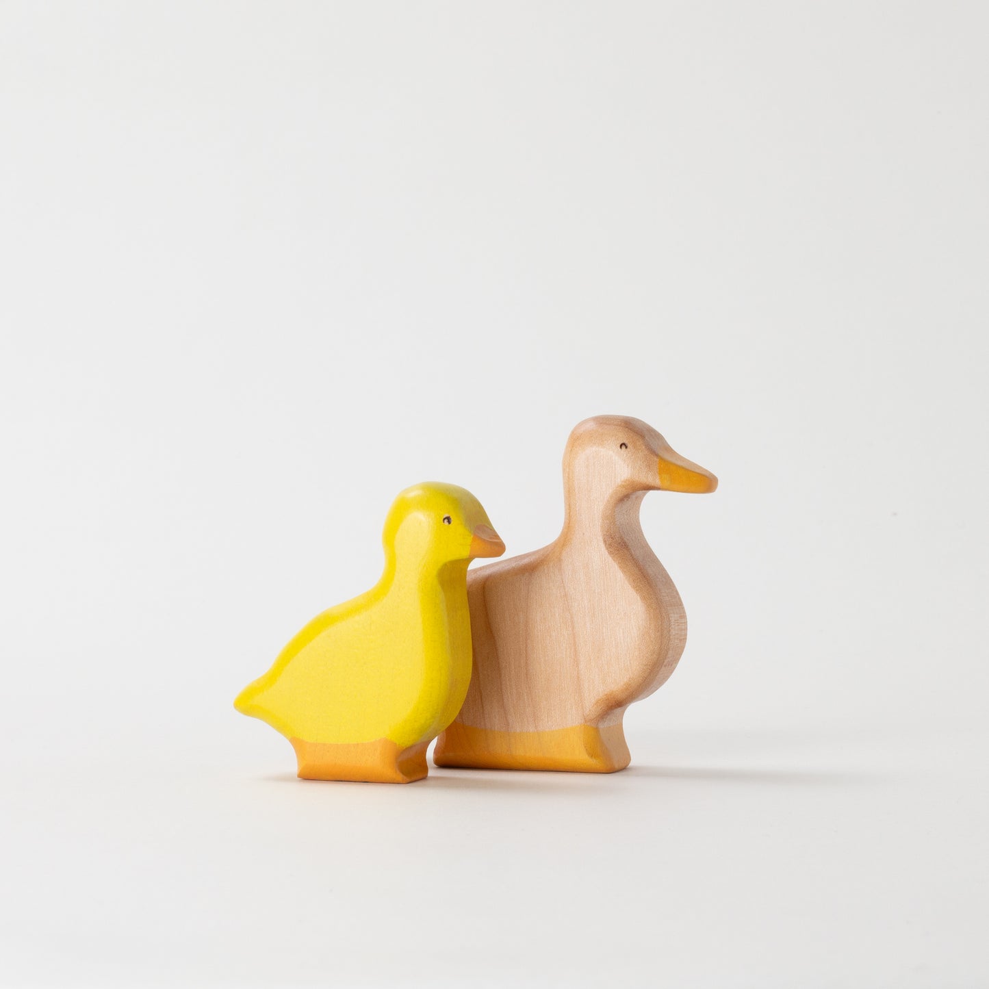 Pekin Duck & Duckling