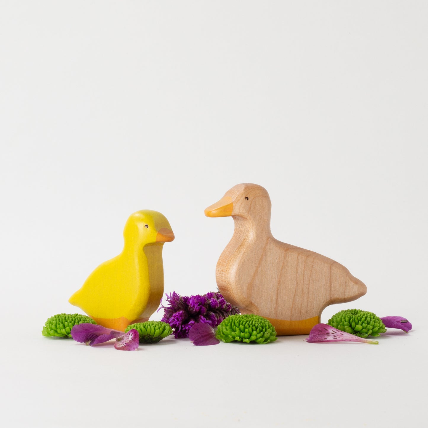 Pekin Duck & Duckling