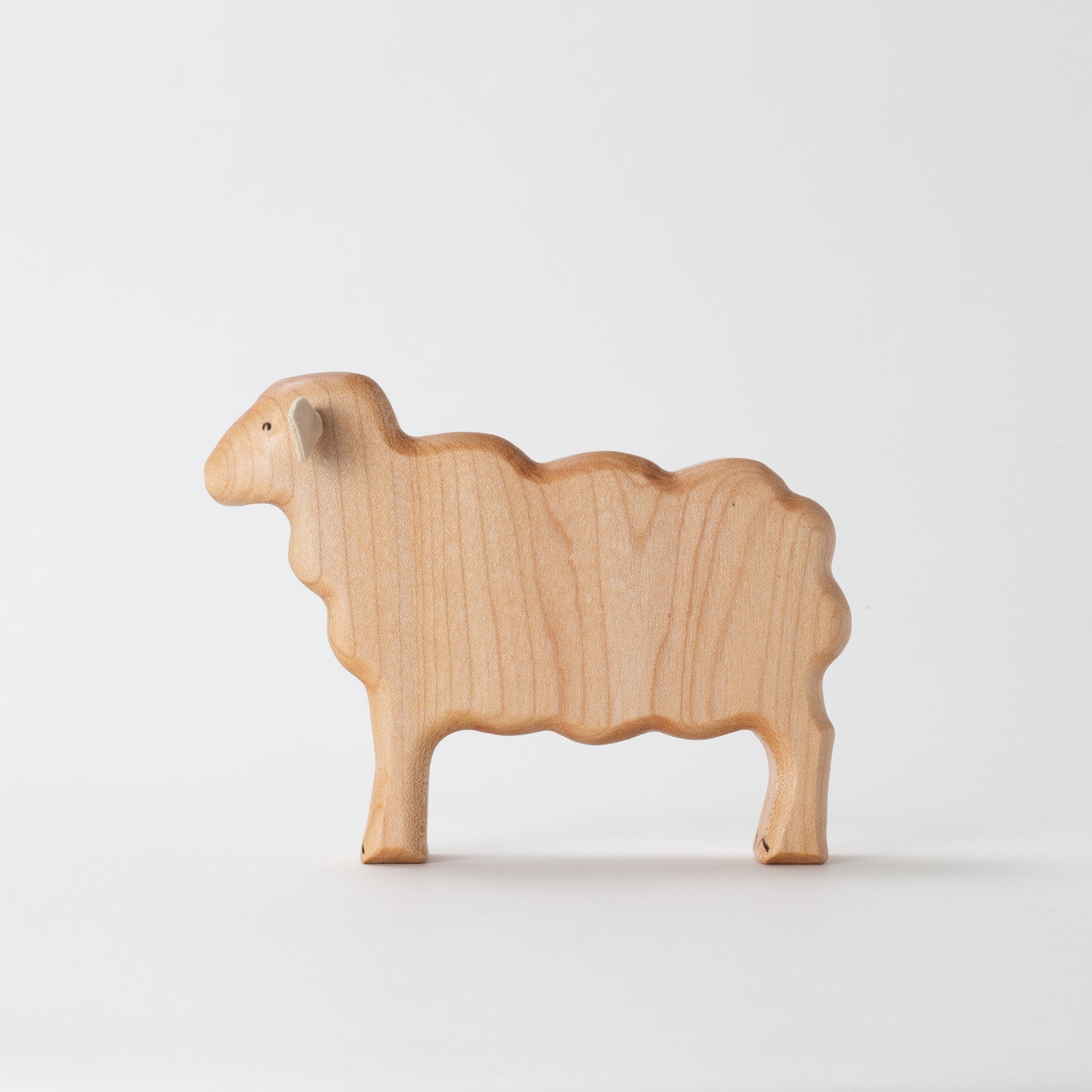 Lincoln Sheep