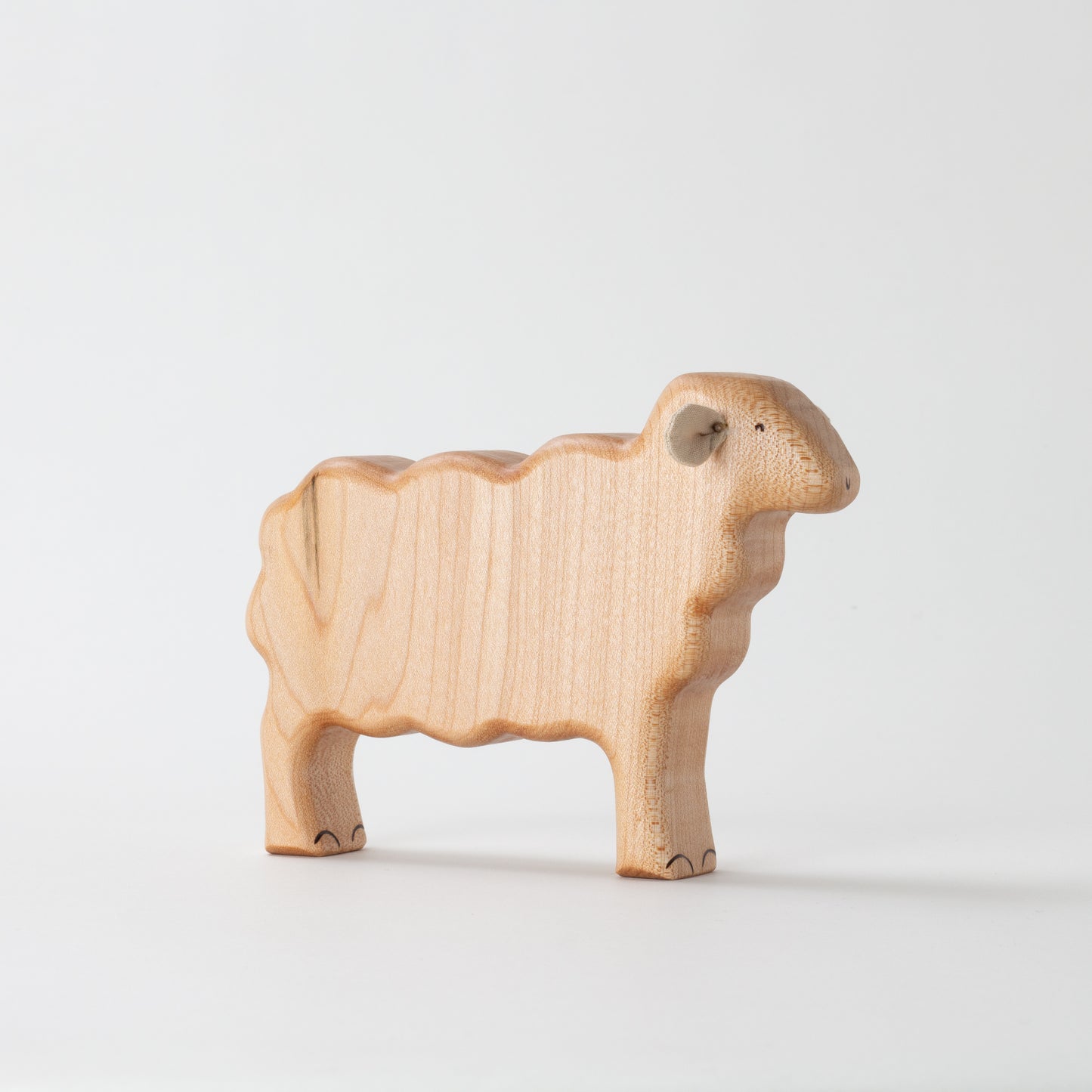 Lincoln Sheep & Lamb