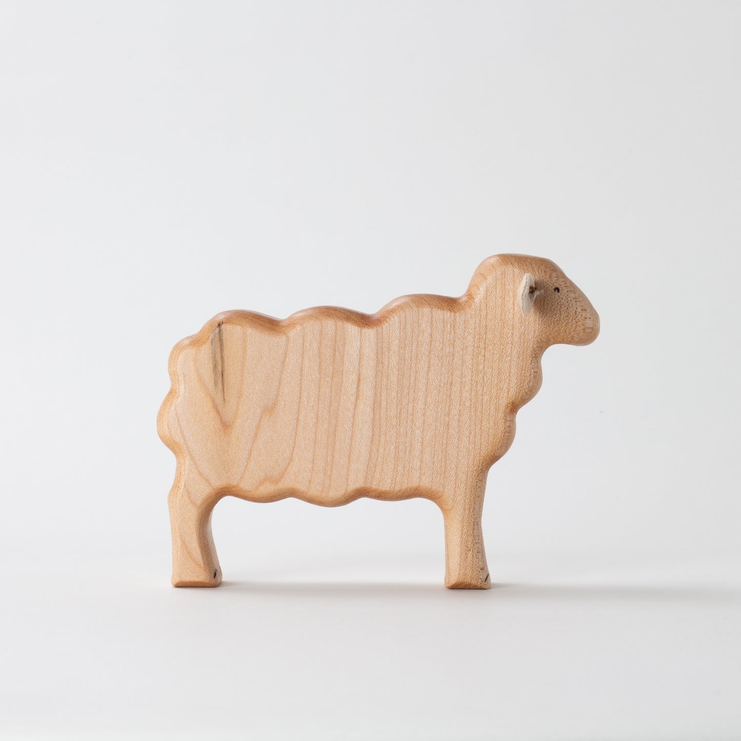 Lincoln Sheep