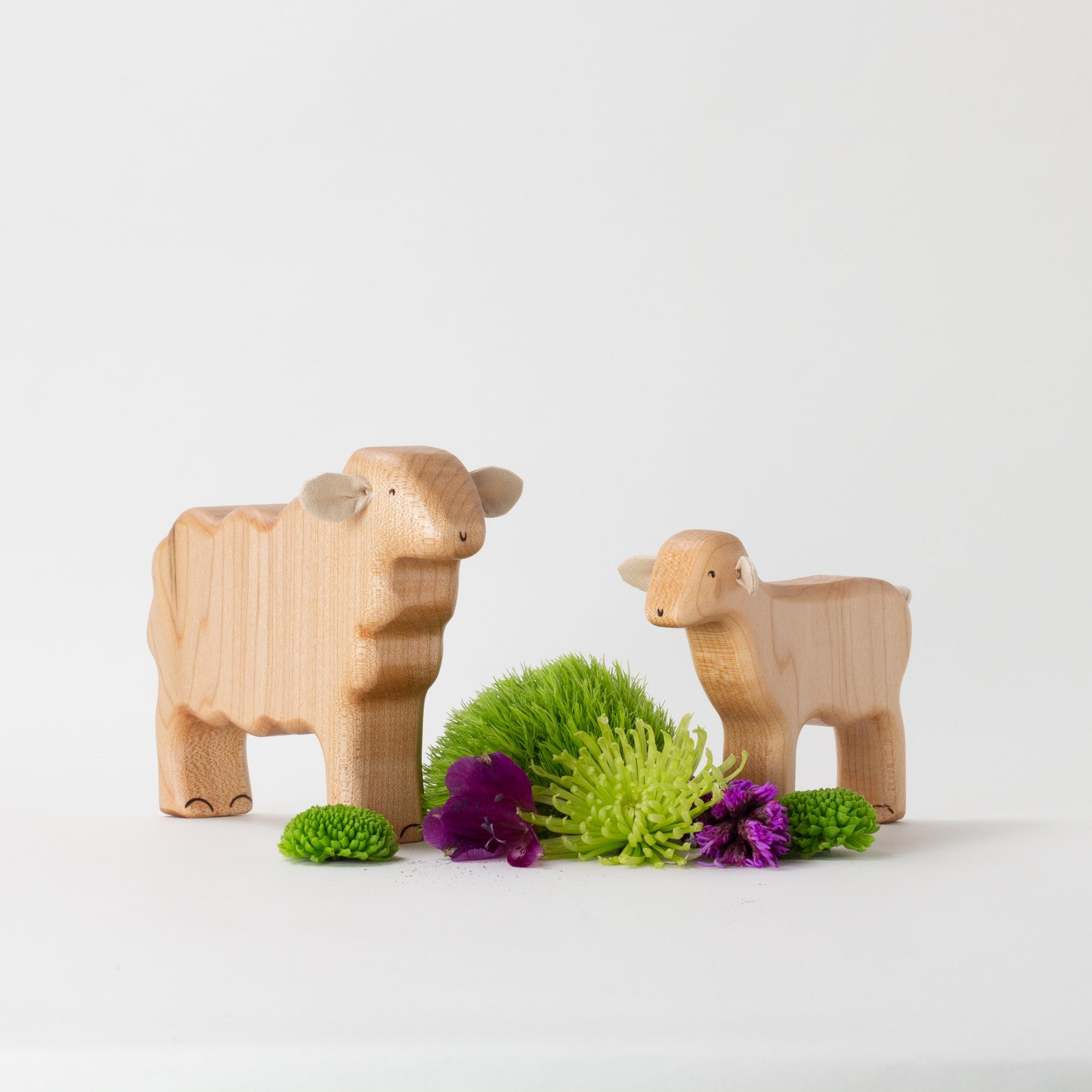 Lincoln Sheep & Lamb