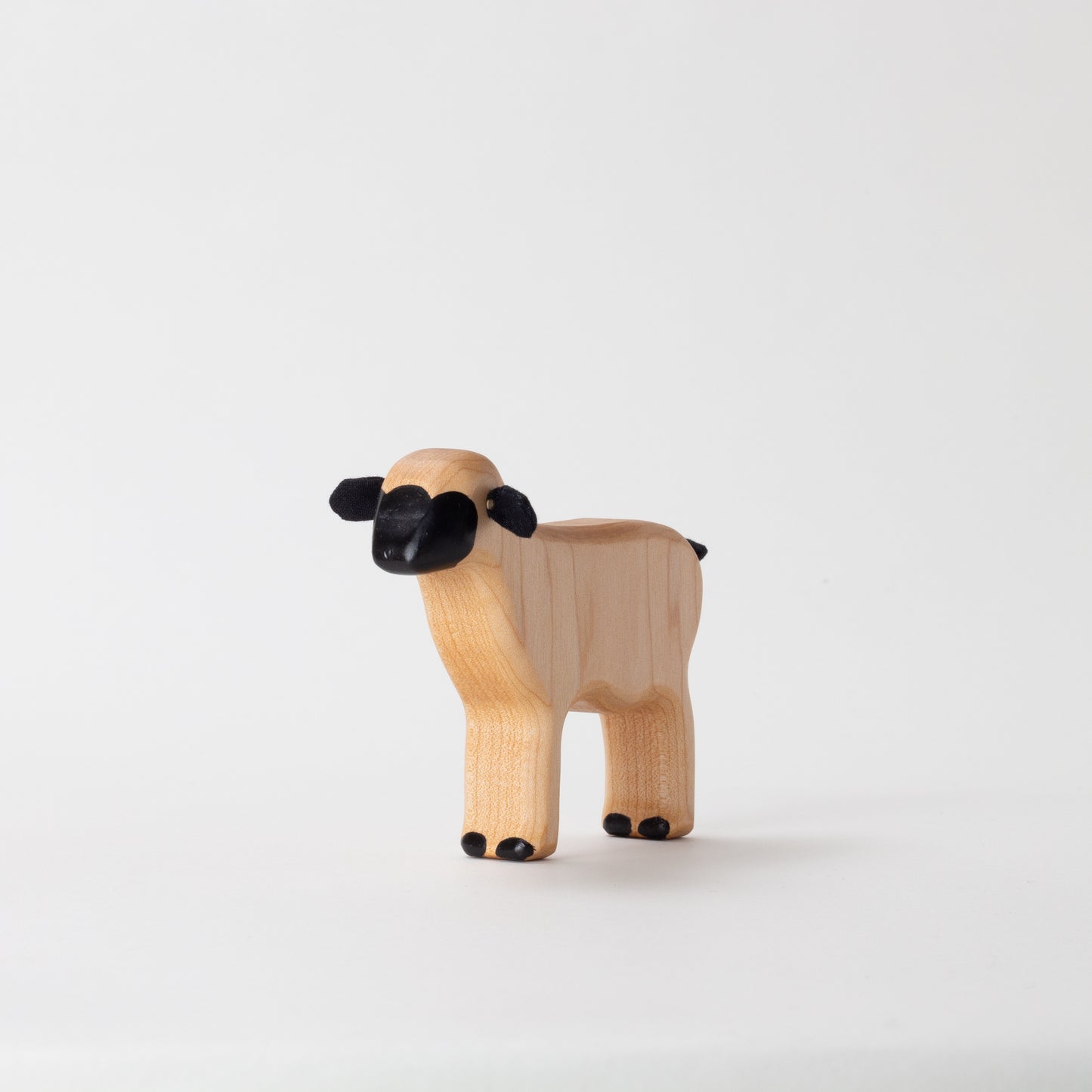 Valais Blacknose Lamb