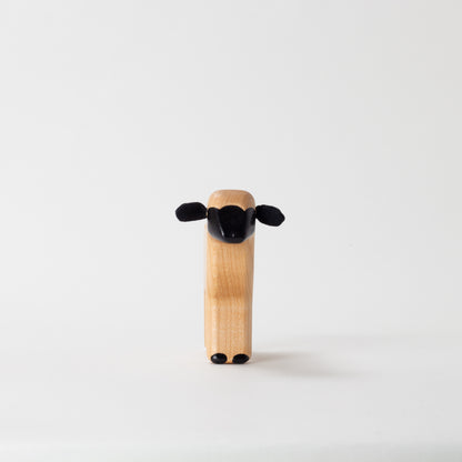 Valais Blacknose Lamb