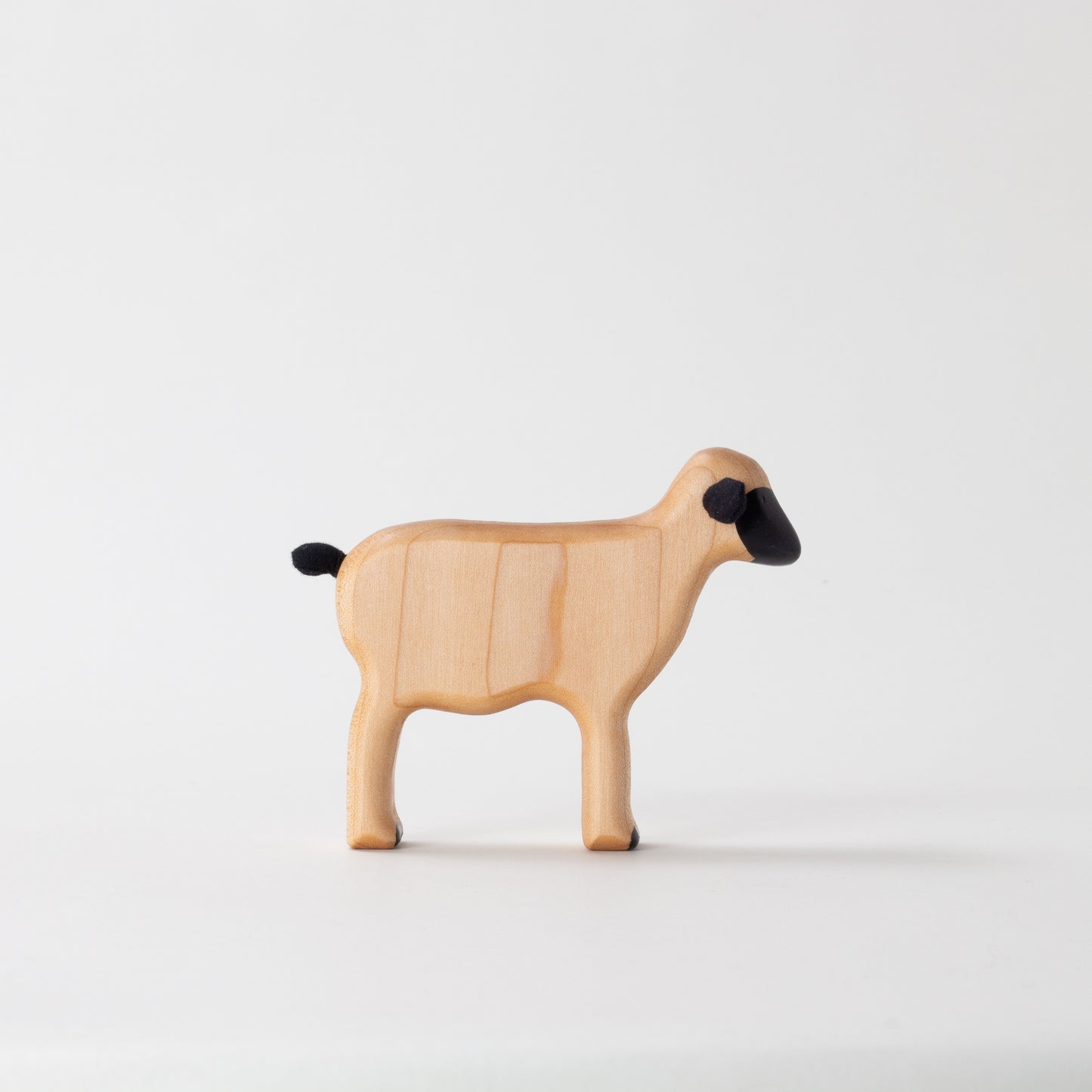 Valais Blacknose Lamb