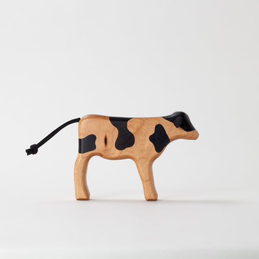Holstein Dairy Calf