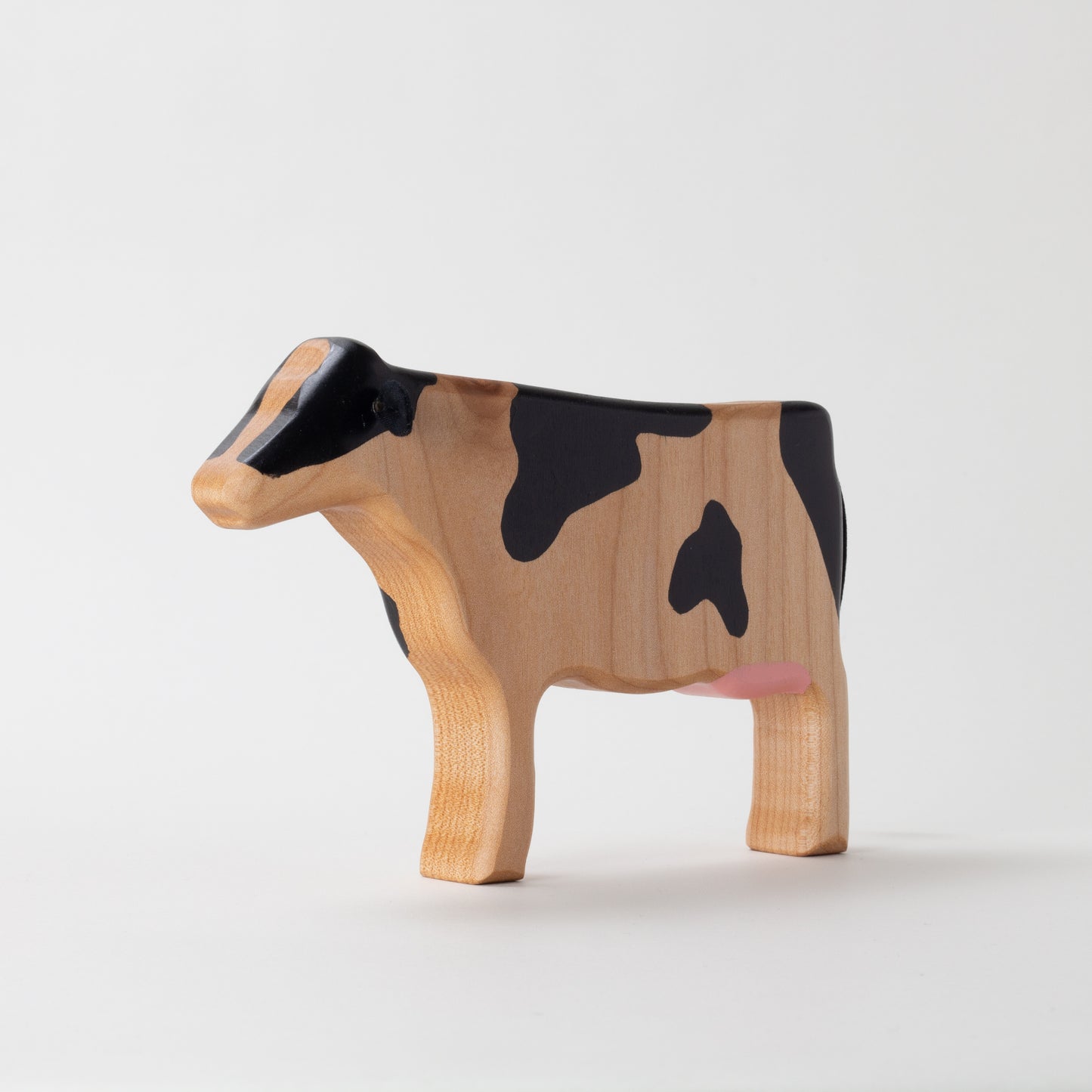 Holstein Dairy Cow
