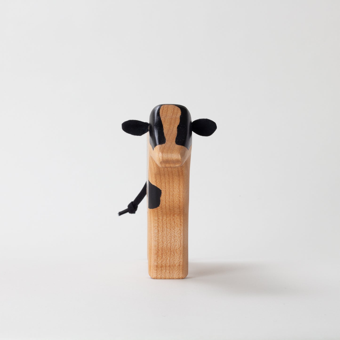 Holstein Dairy Cow
