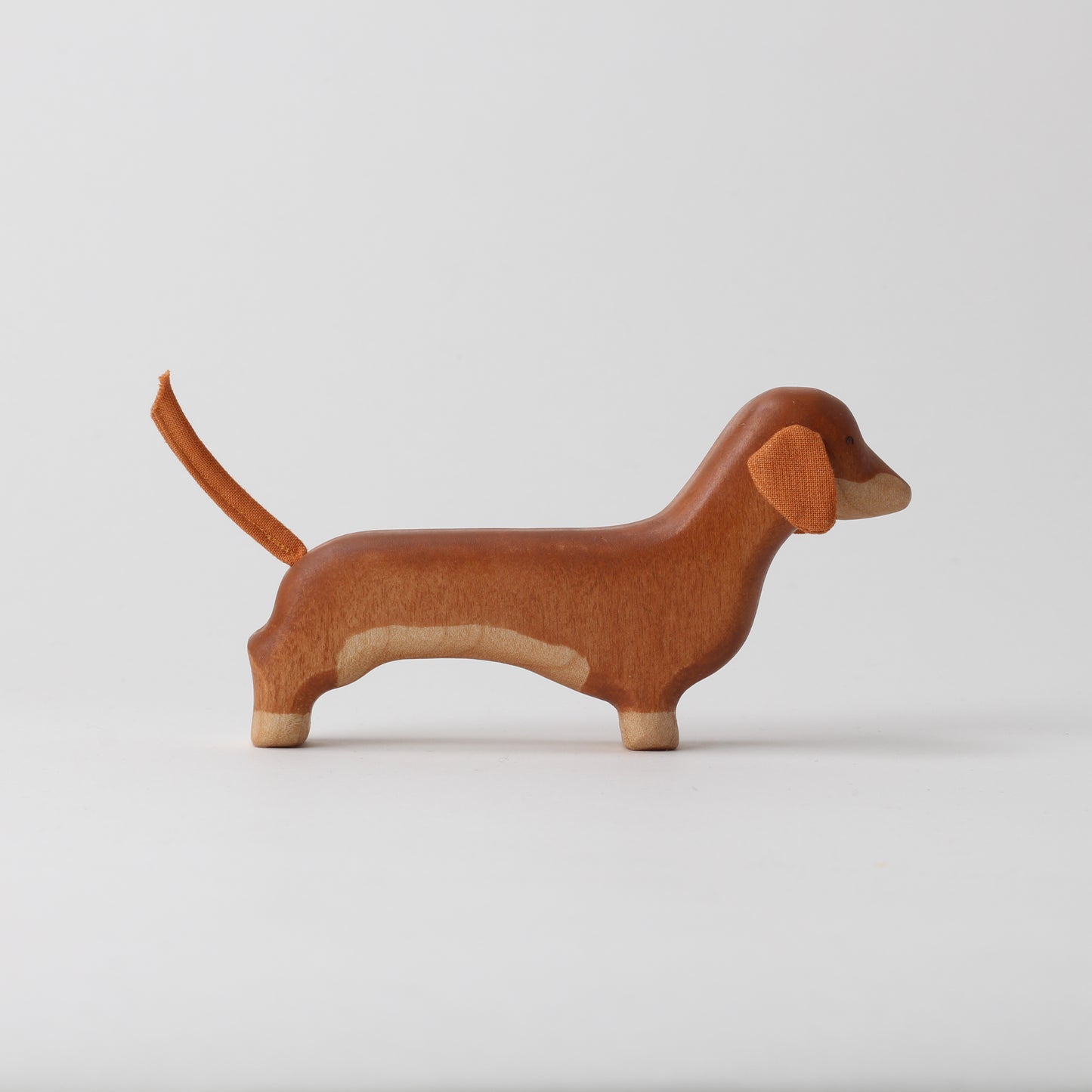 Dachshund