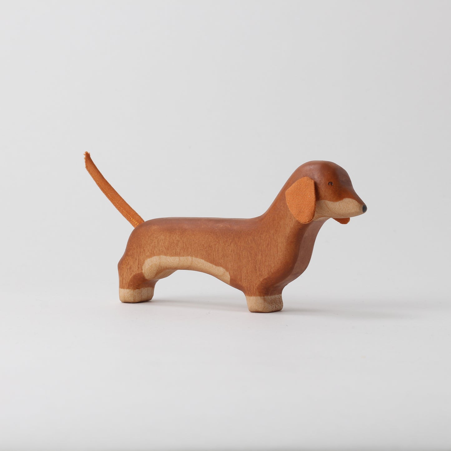 Dachshund