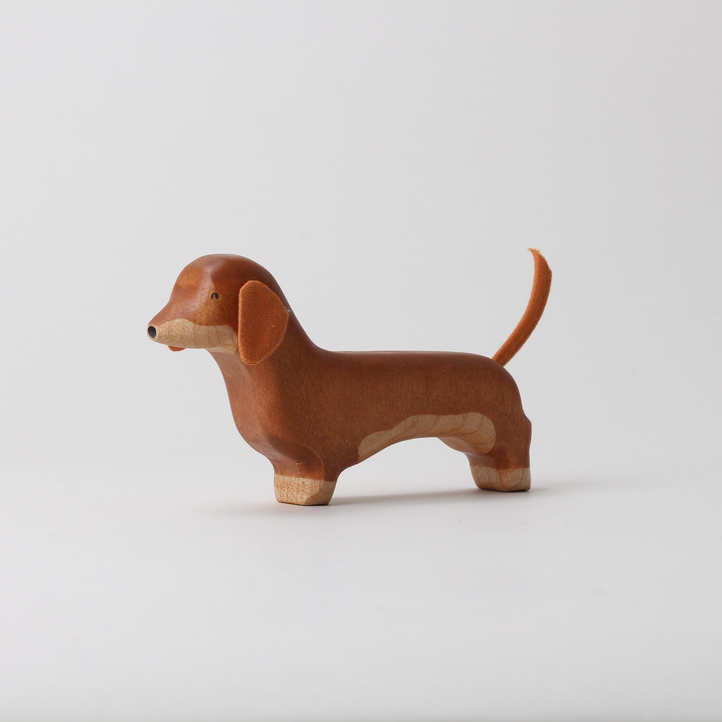 Dachshund