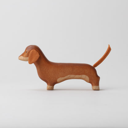 Dachshund