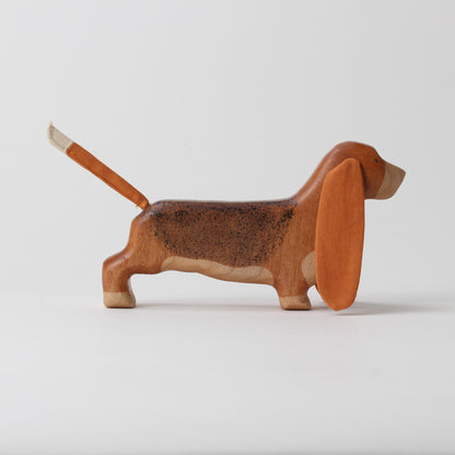Basset Hound