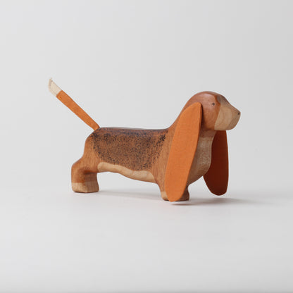 Basset Hound