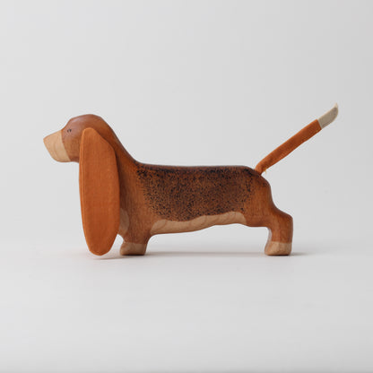 Basset Hound