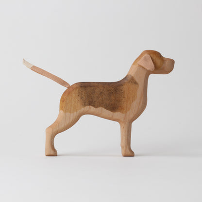 Beagle
