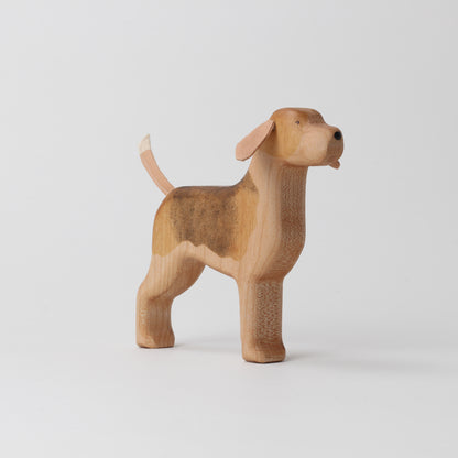 Beagle