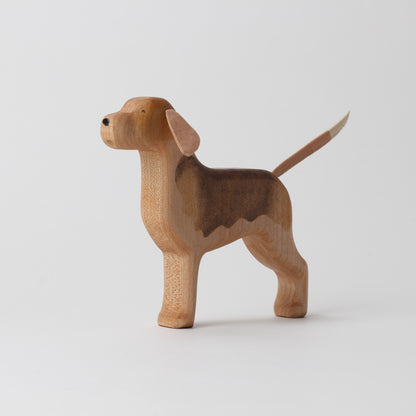 Beagle