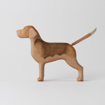 Beagle