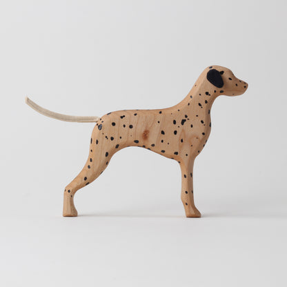 Dalmatian (HUA)