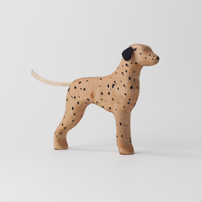Dalmatian (HUA)