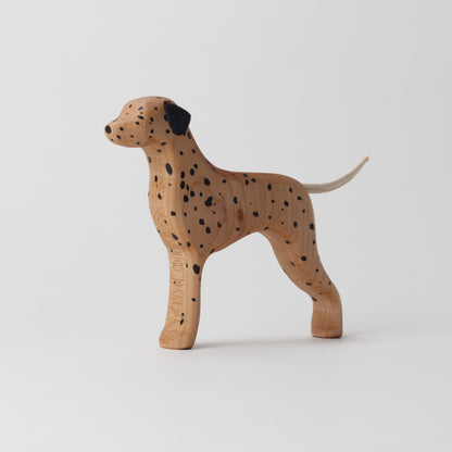 Dalmatian (HUA)