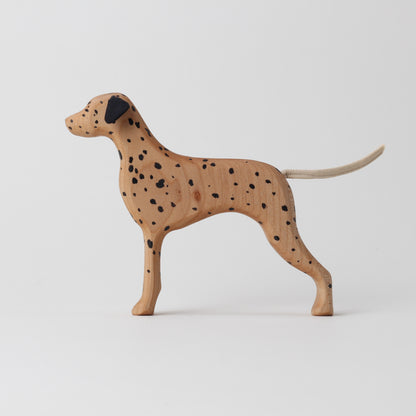 Dalmatian (HUA)