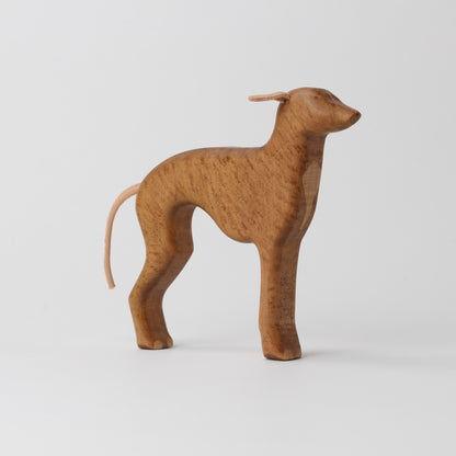 Greyhound