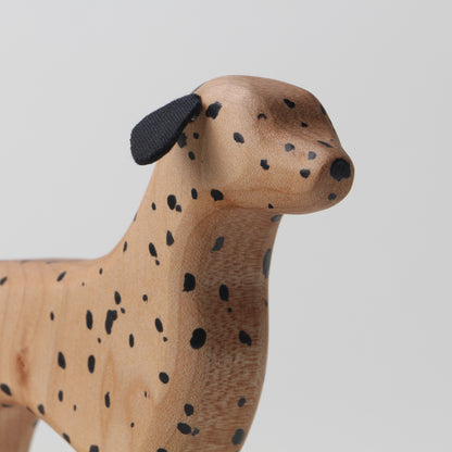 Dalmatian (HUA)