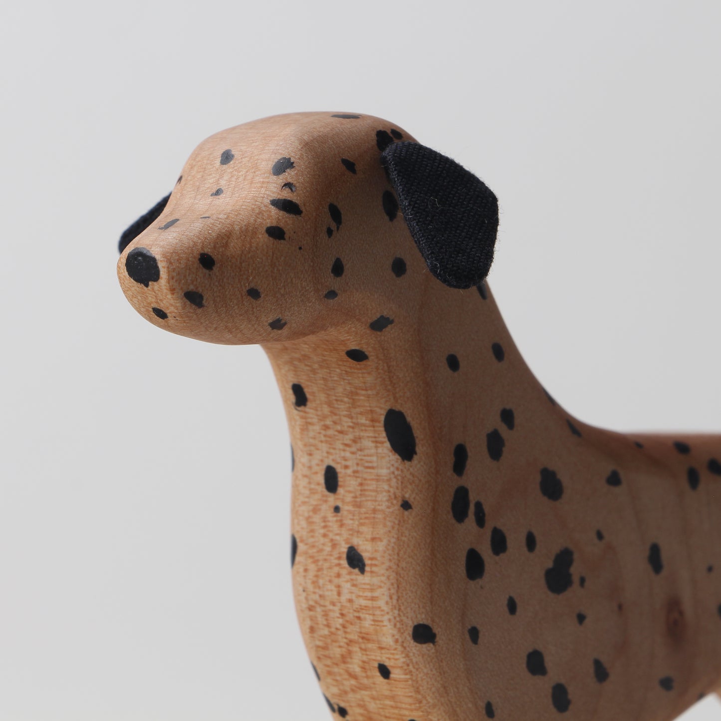 Dalmatian (HUA)