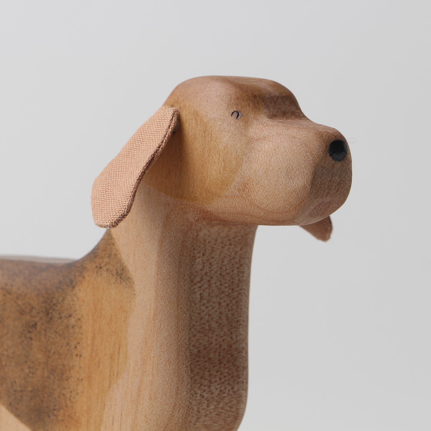 Beagle