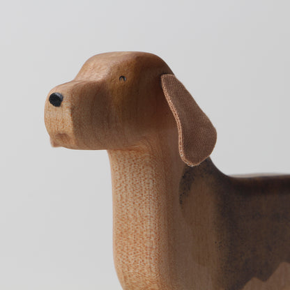 Beagle