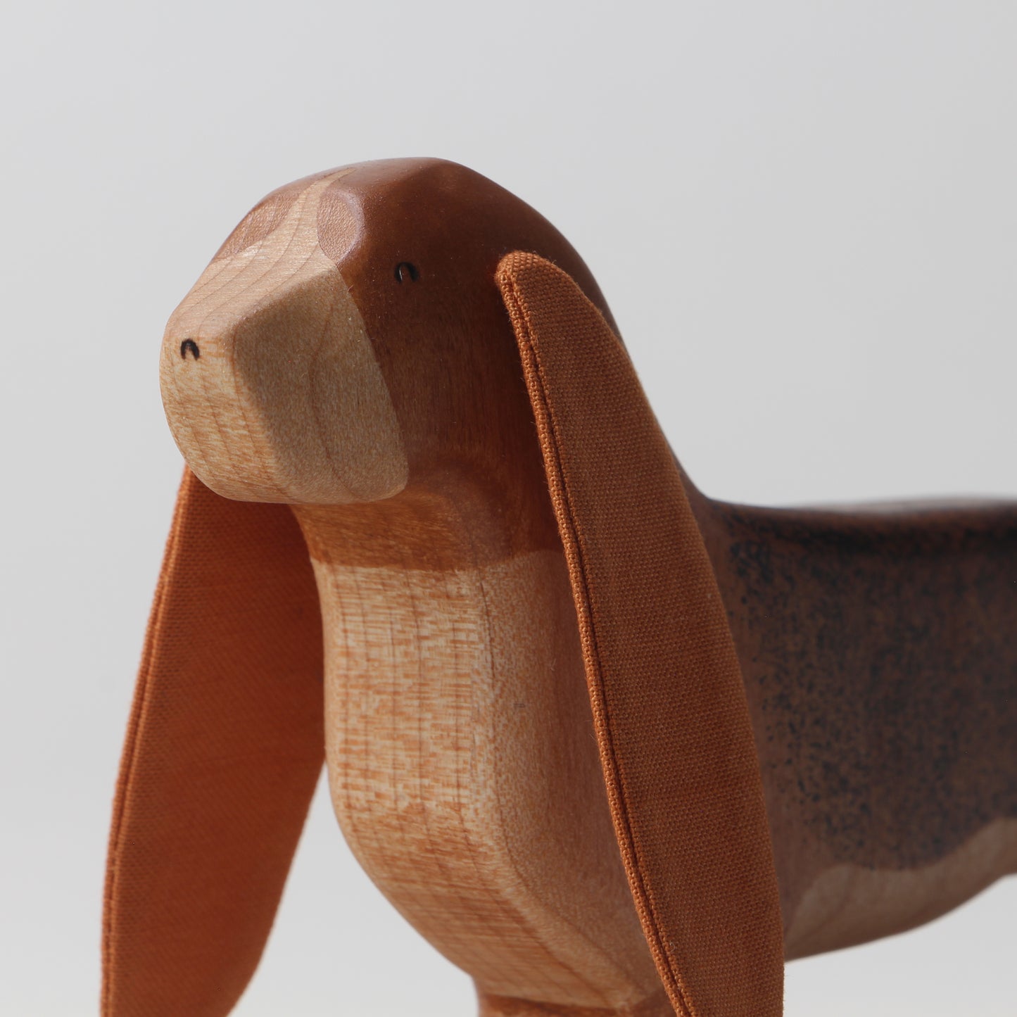 Basset Hound