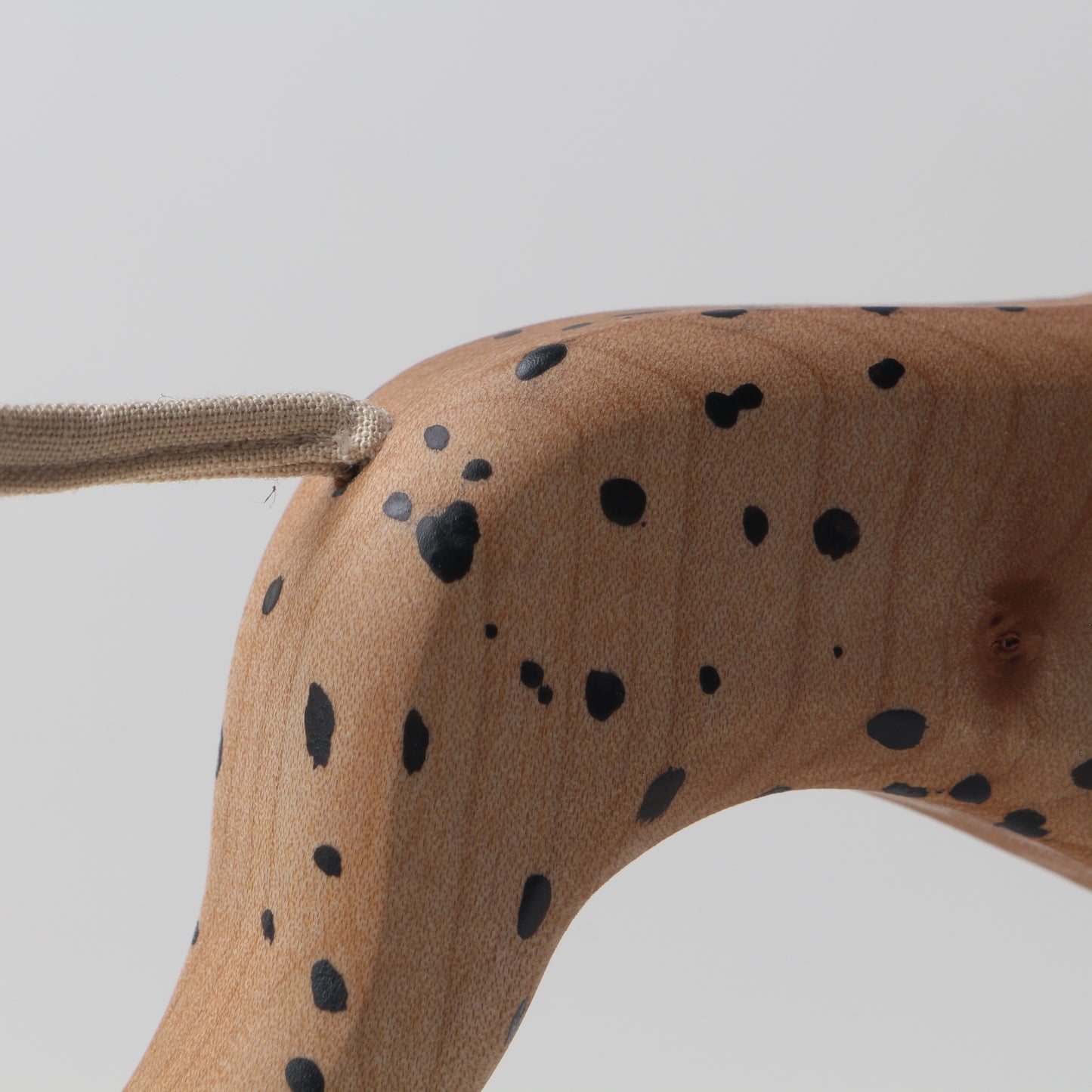 Dalmatian (HUA)