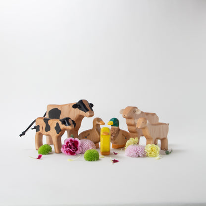Dolly Collection