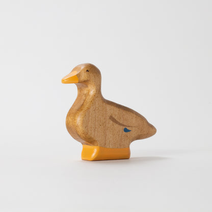 Mallard Duck - Hen