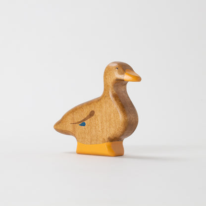 Mallard Duck - Hen