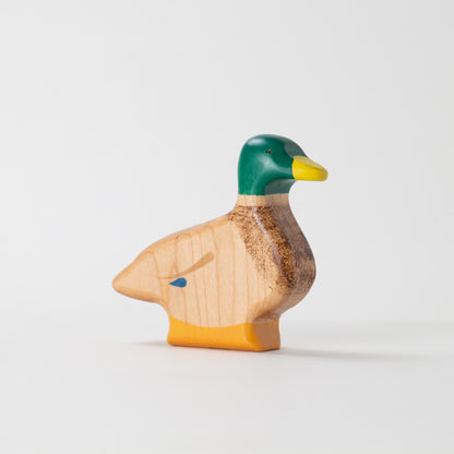 Mallard Ducks & Duckling