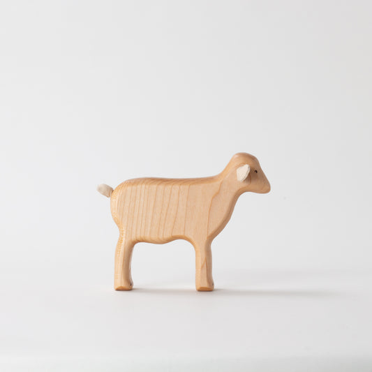 Lincoln Lamb