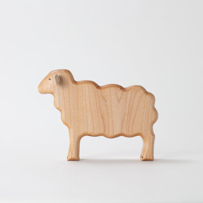 Lincoln Sheep