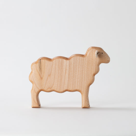 Lincoln Sheep