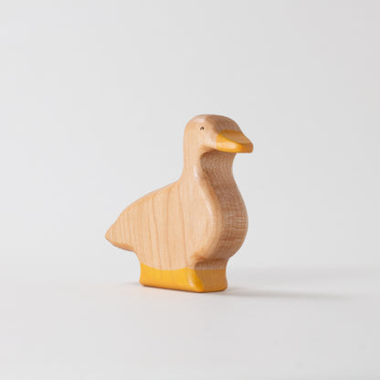 Pekin Duck & Duckling