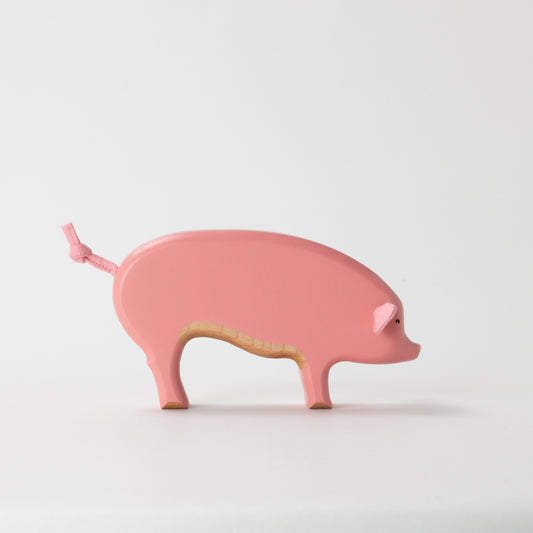 Yorkshire Pig